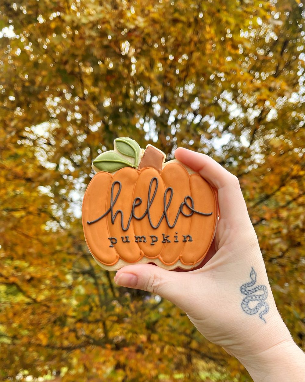 Hand holding a pumpkin cookie that says hello pumpkin, with fall leaves behind